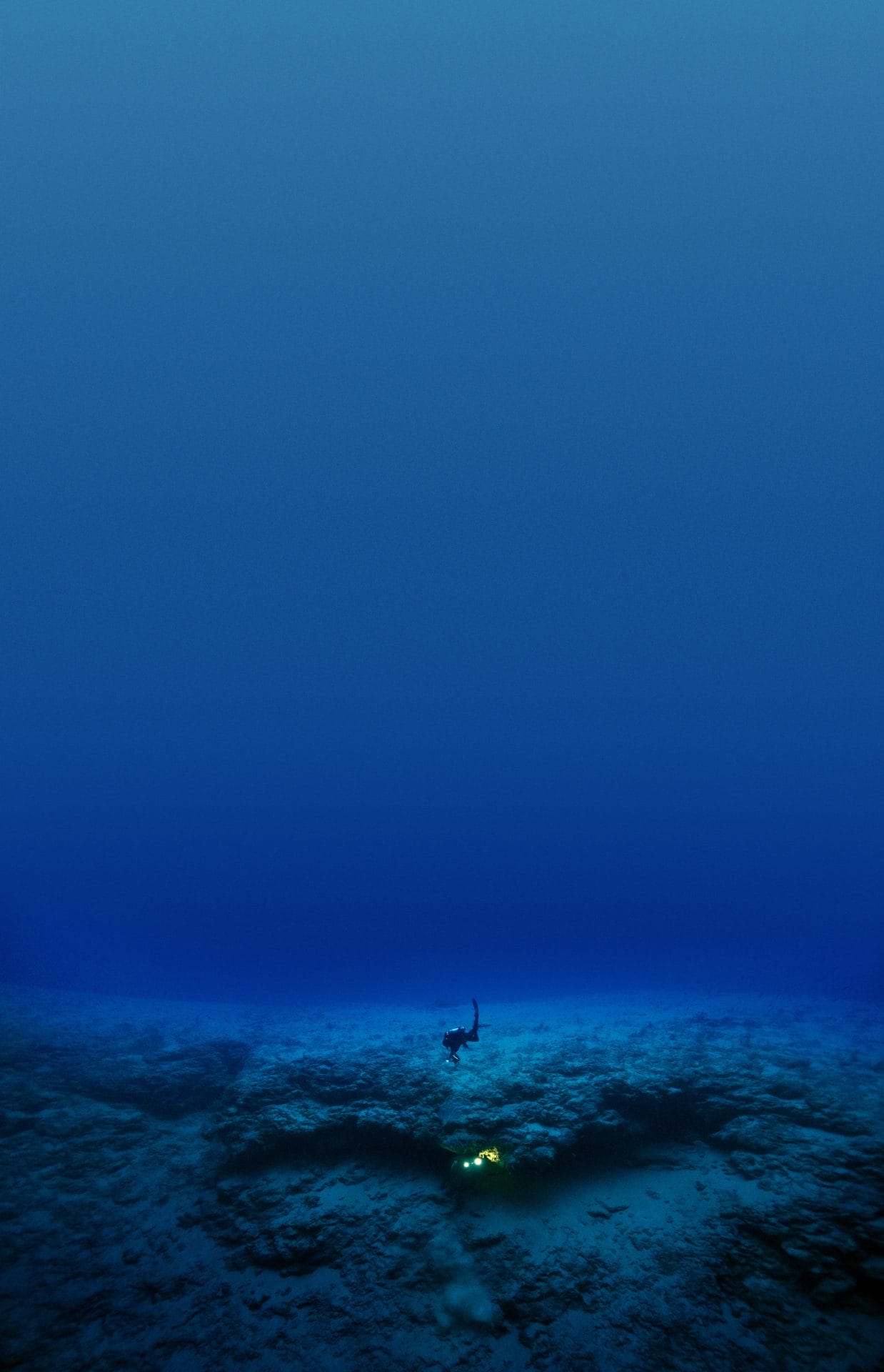 Image One