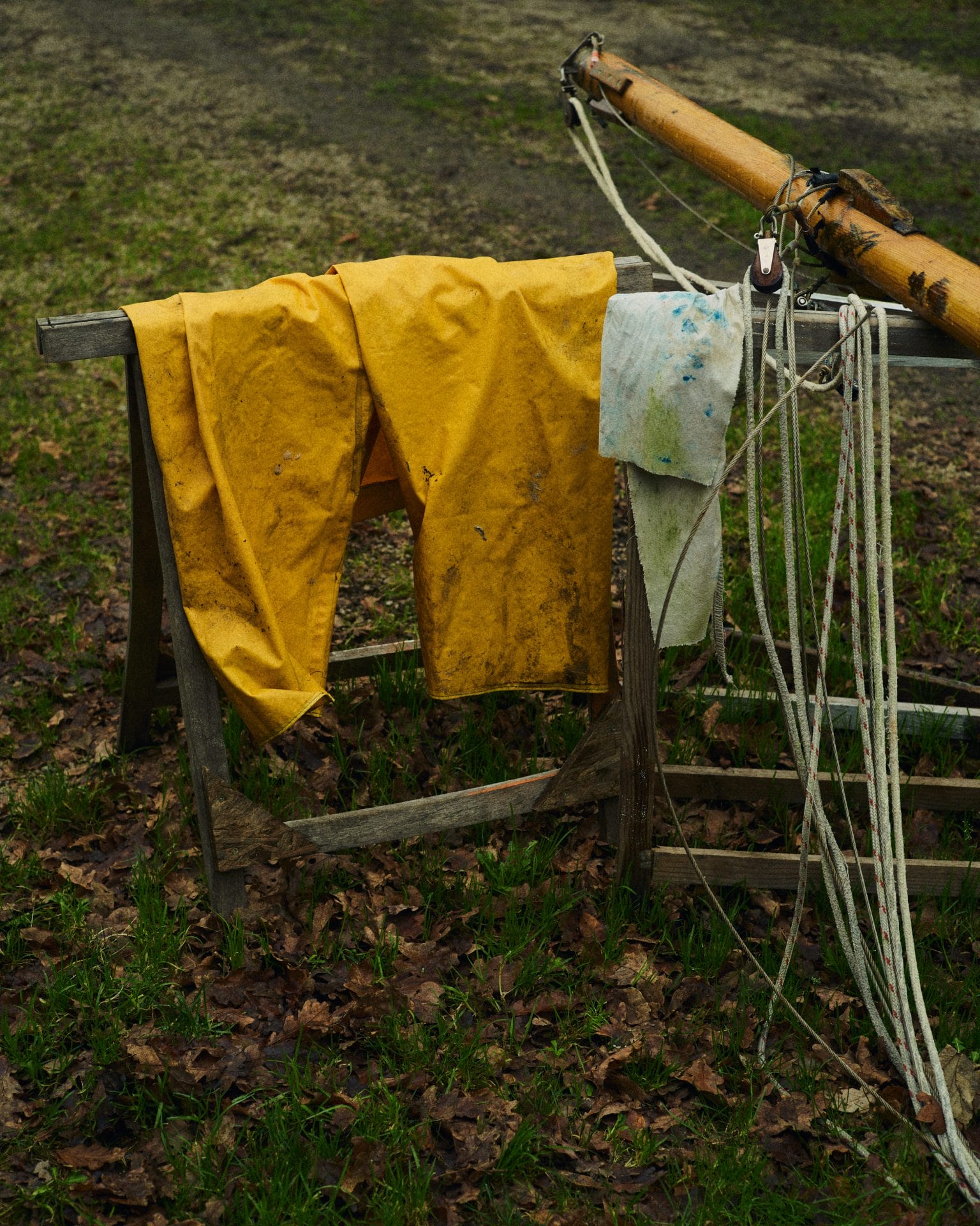 Image Two