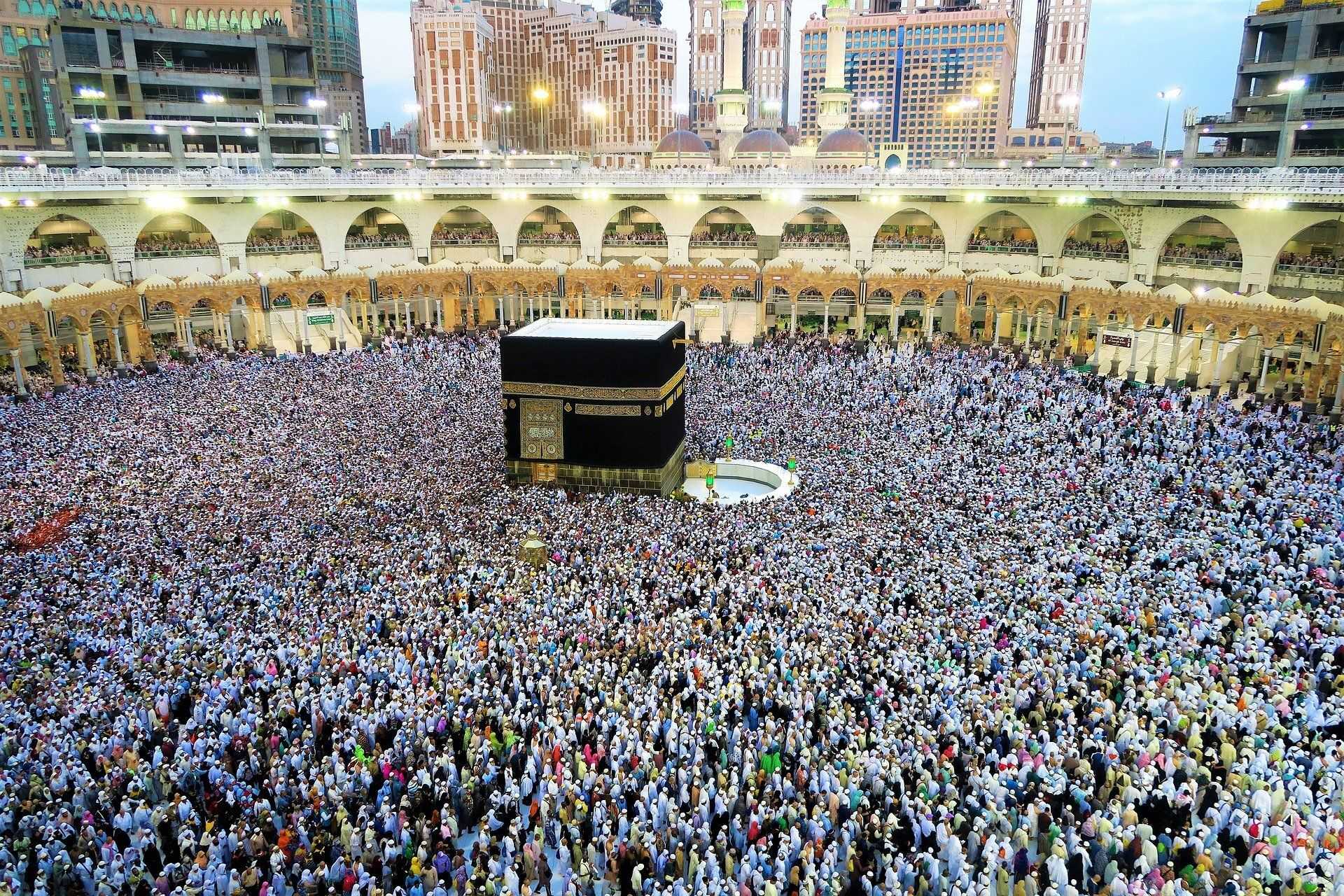 Picture for Les pèlerins étrangers de retour à La Mecque article